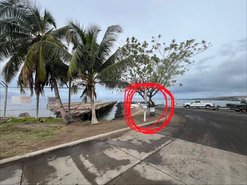The tree at Mala Boat Ramp where we check in, circled in red