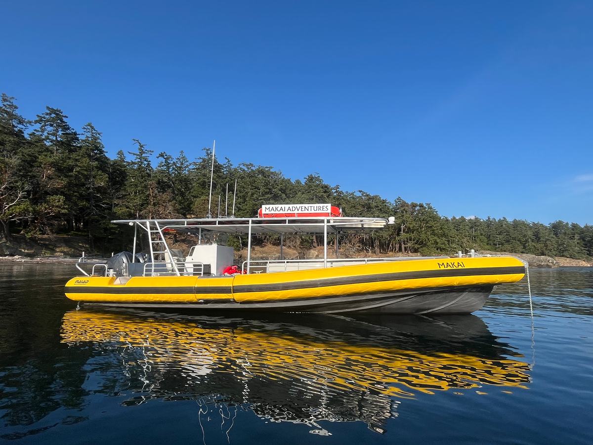 MAKAI at anchor, side view of the yellow collar and canopy